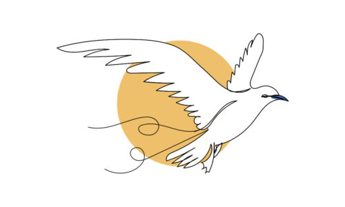 Fraud to Free™: The Blueprint for Authentic Authority