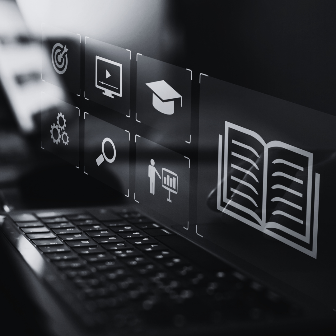 green plant on gray rock