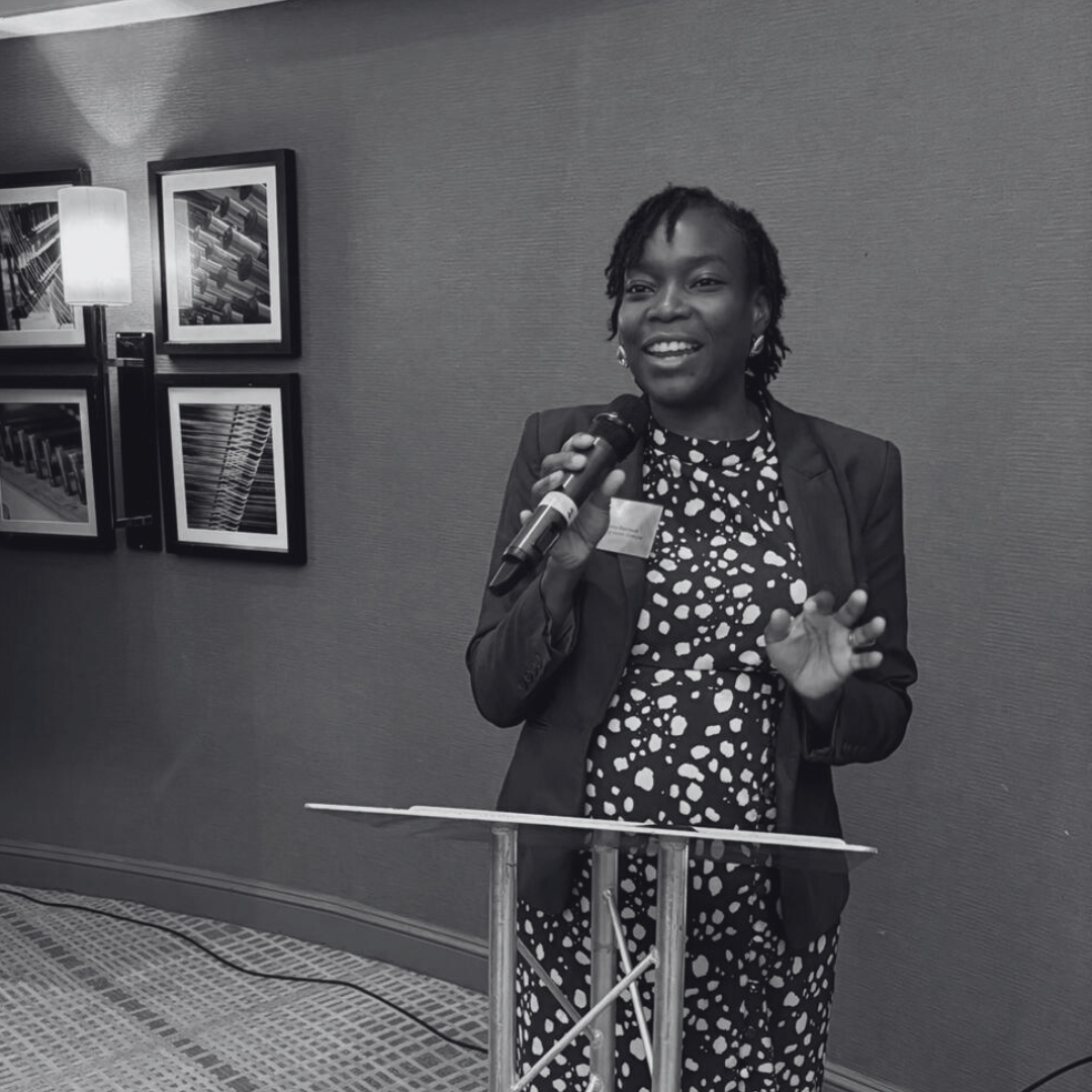 green plant on gray rock
